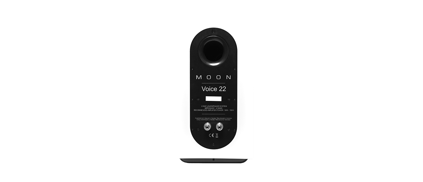 Picture of Voice 22