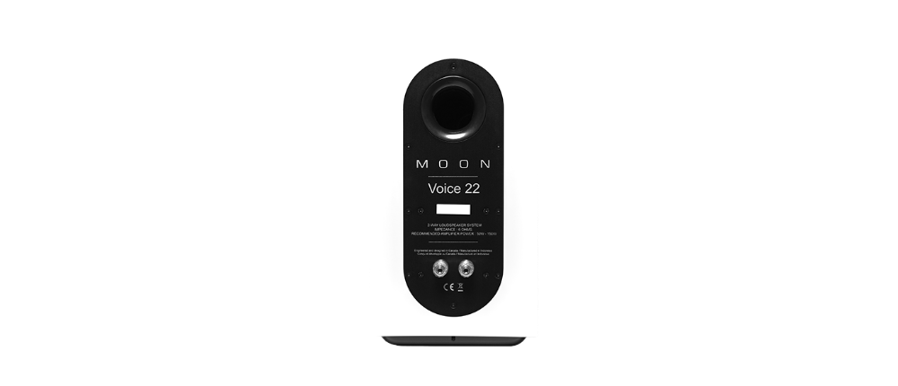 Picture of Voice 22