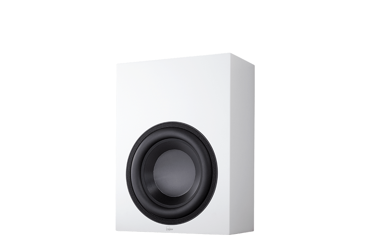 Picture of BW-2 Subwoofer