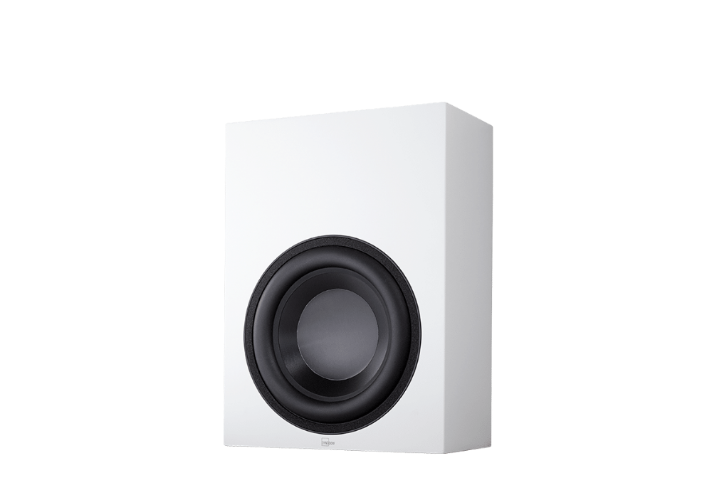 Picture of BW-2 Subwoofer