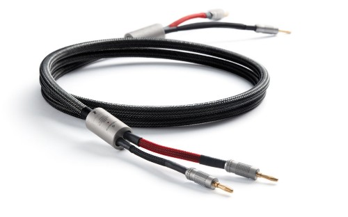 Picture of High level Speakon sub cable thumb