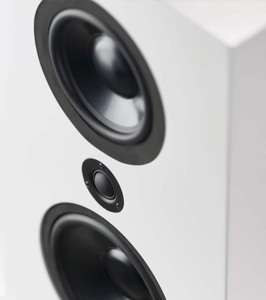 Picture of FR-1 Loudspeaker