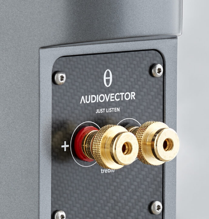 Audiovector cta picture 2