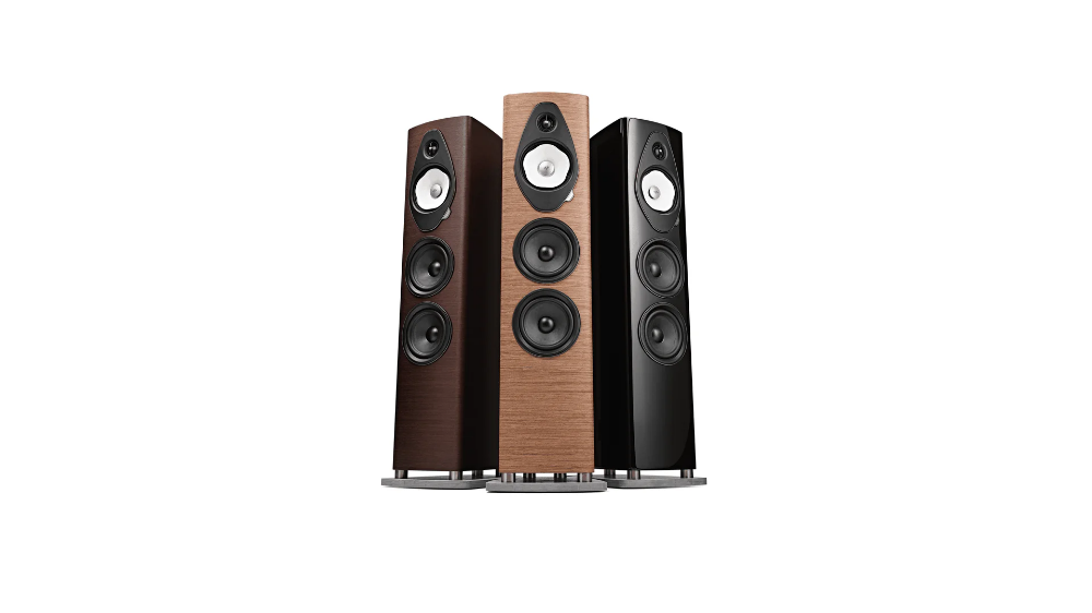 Picture of Sonus Faber Sonetto V G2