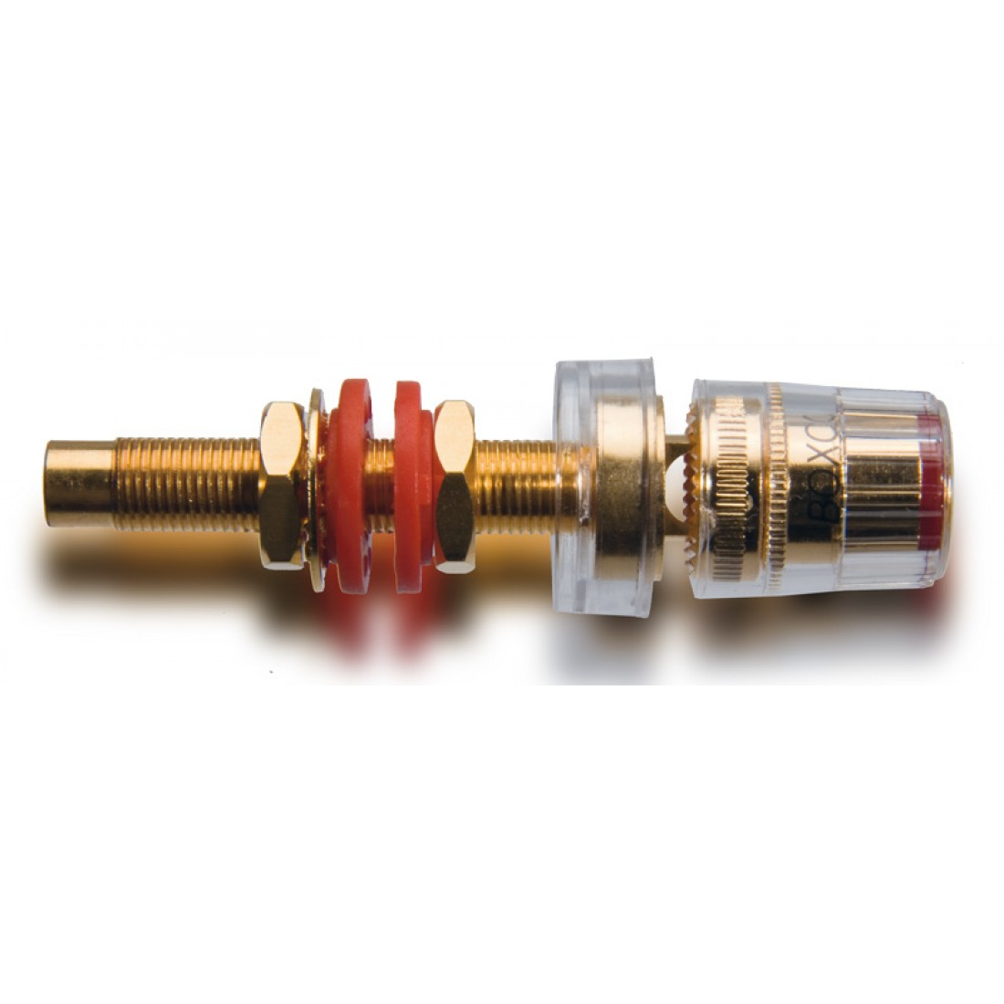 Picture of Boxcon 2 Units (Blister)