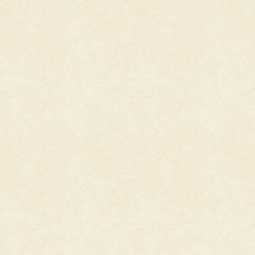 Picture of Andrea - Absorber