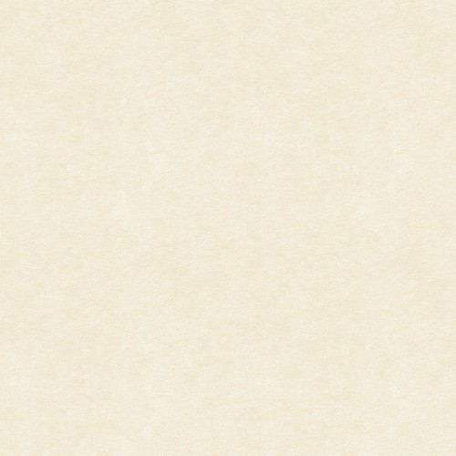 Picture of Andrea - Absorber thumb