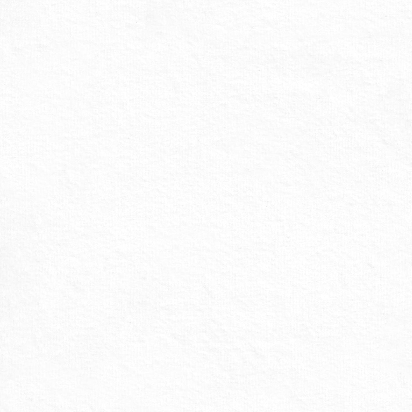 Picture of Andrea - Absorber