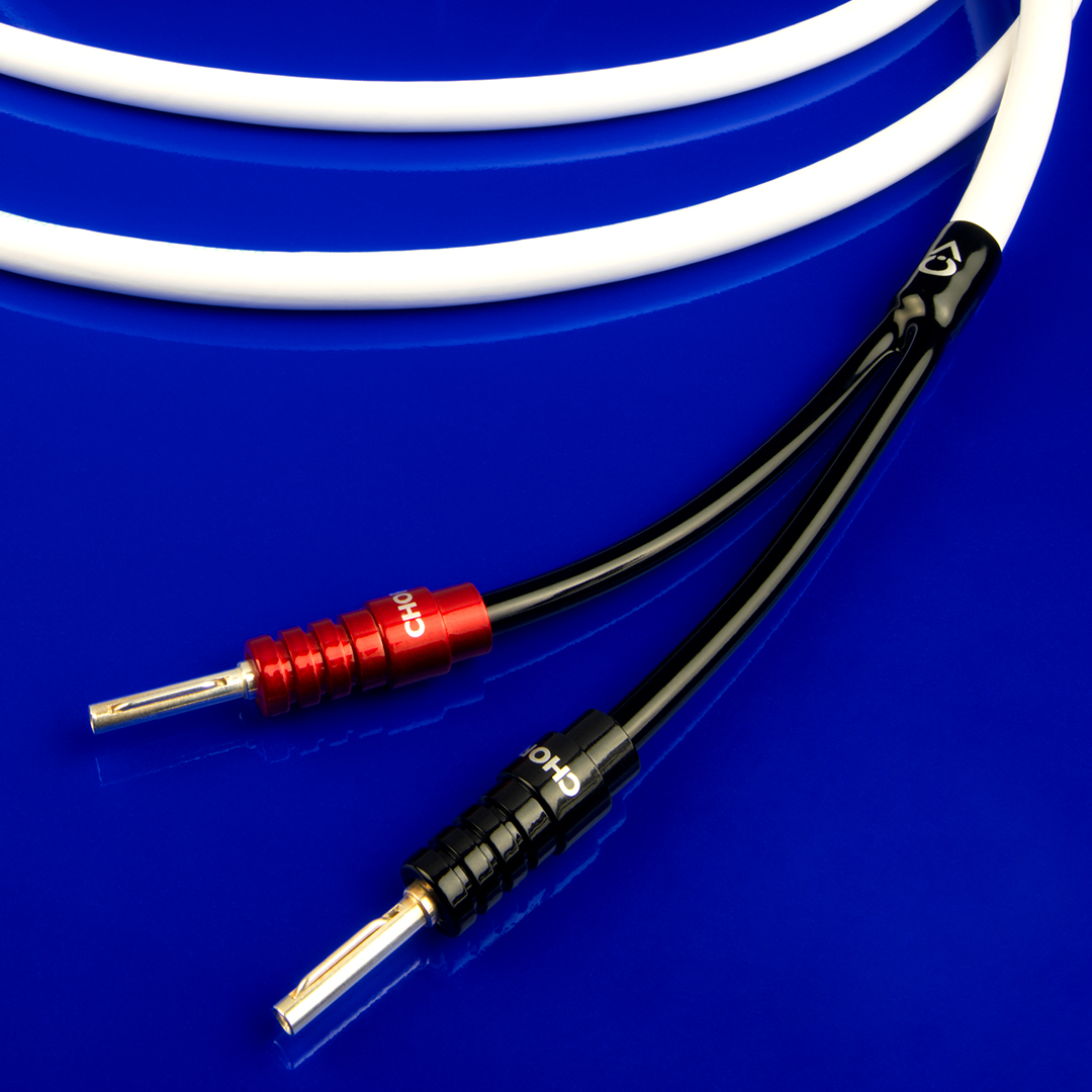 Picture of C-screenX speaker cable