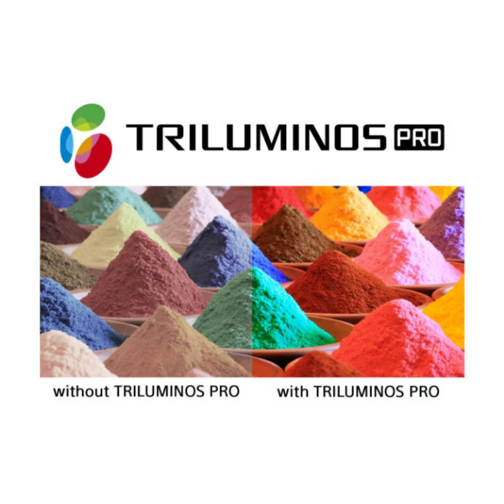 Picture of VPL-XW7000ES