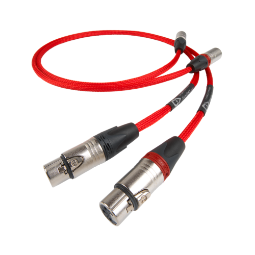 Picture of ShawlineX ARAY Analogue XLR