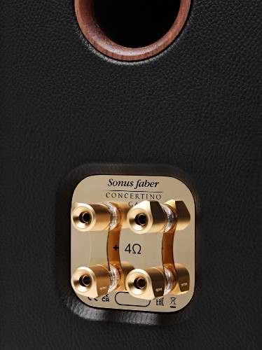 Picture of Concertino Maestro Edition thumb