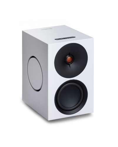 Picture of L/R M thumb