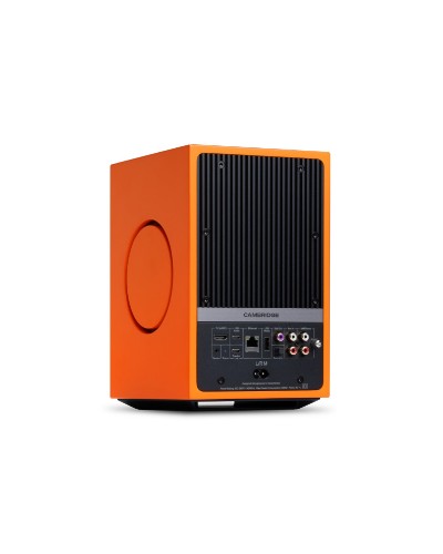 Picture of L/R M thumb