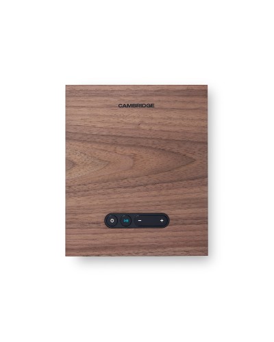 Picture of L/R M thumb