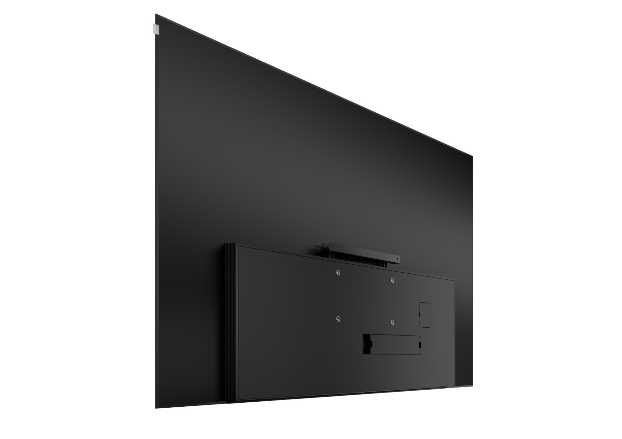 Picture of stellar 97 dr+