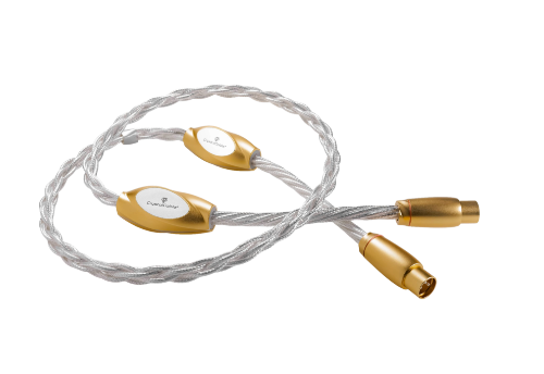 Picture of Infinite Dream Interconnect Cable