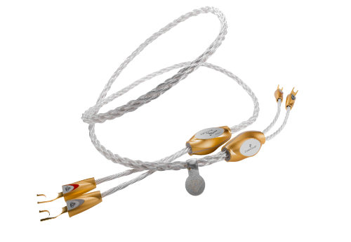 Picture of Infinite Dream Speaker Cable thumb