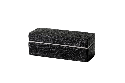 Picture of Record Brush NOIR