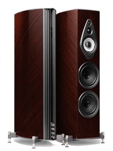 Picture of Amati Supreme thumb