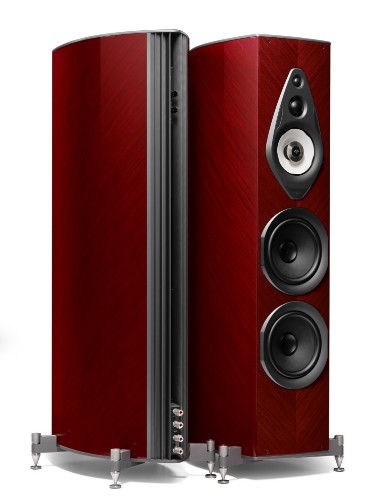 Picture of Amati Supreme thumb