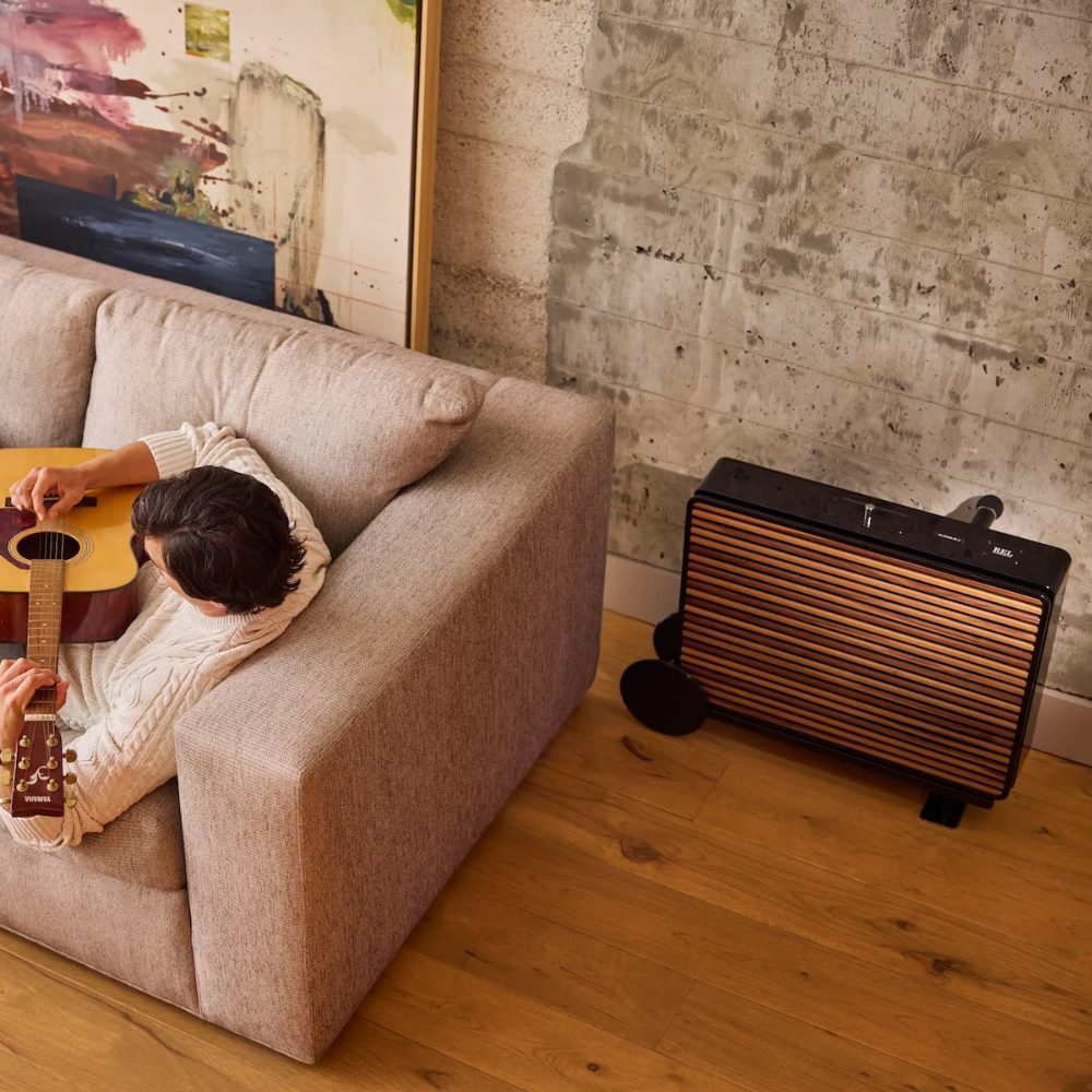 Picture of Planar PL-2